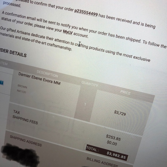 LOUIS VUITTON Evora MM Damier Ebene Canvas - Picture 3 of 7